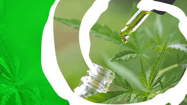 ECS Botanics returns to profitability in H1