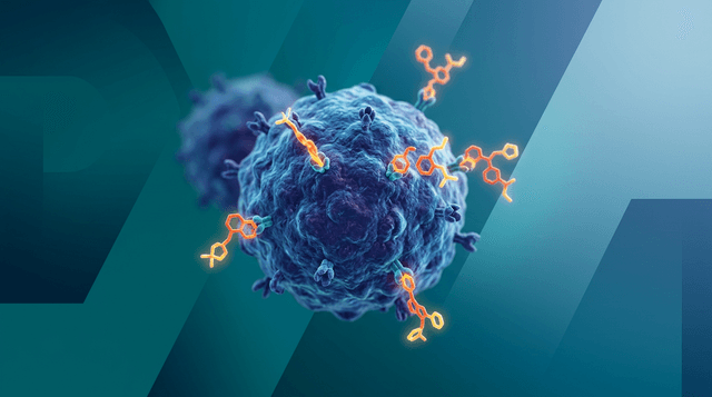 Immuneering reports 64% one-year survival in pancreatic cancer trial