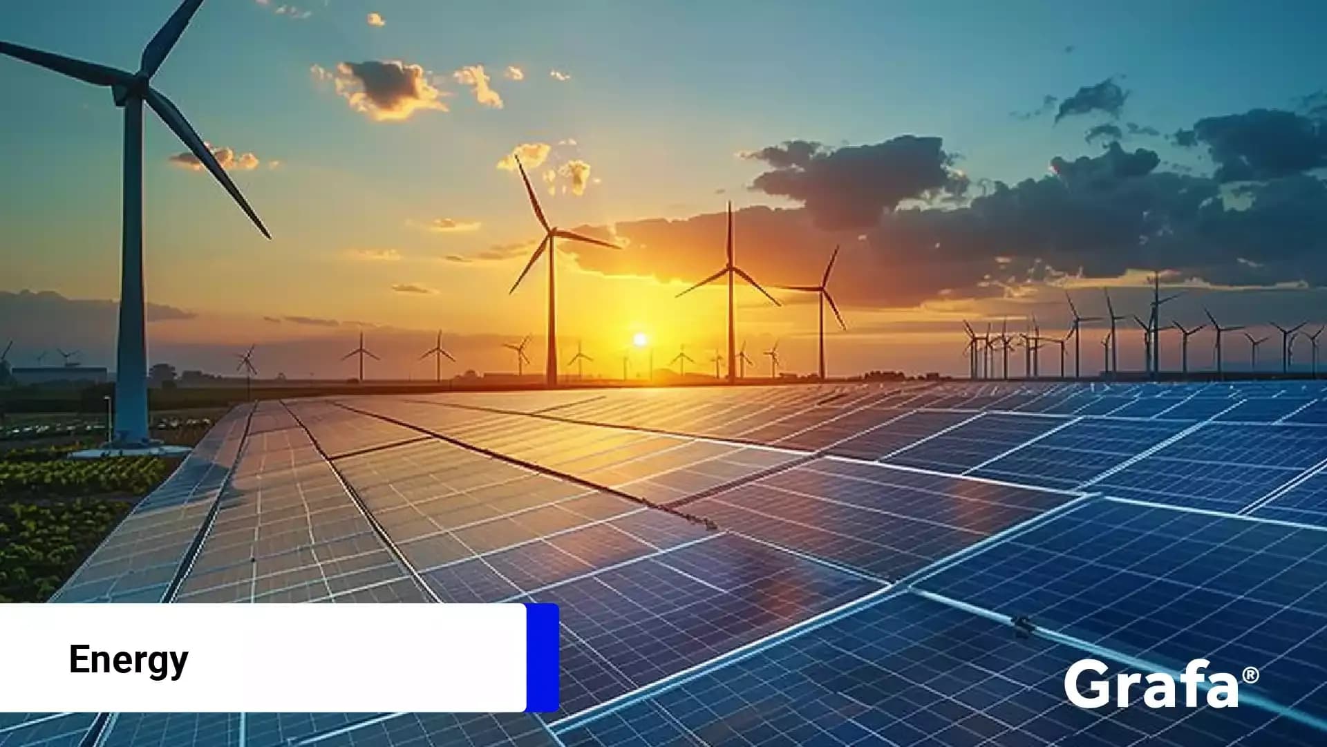 Aemetis primary media