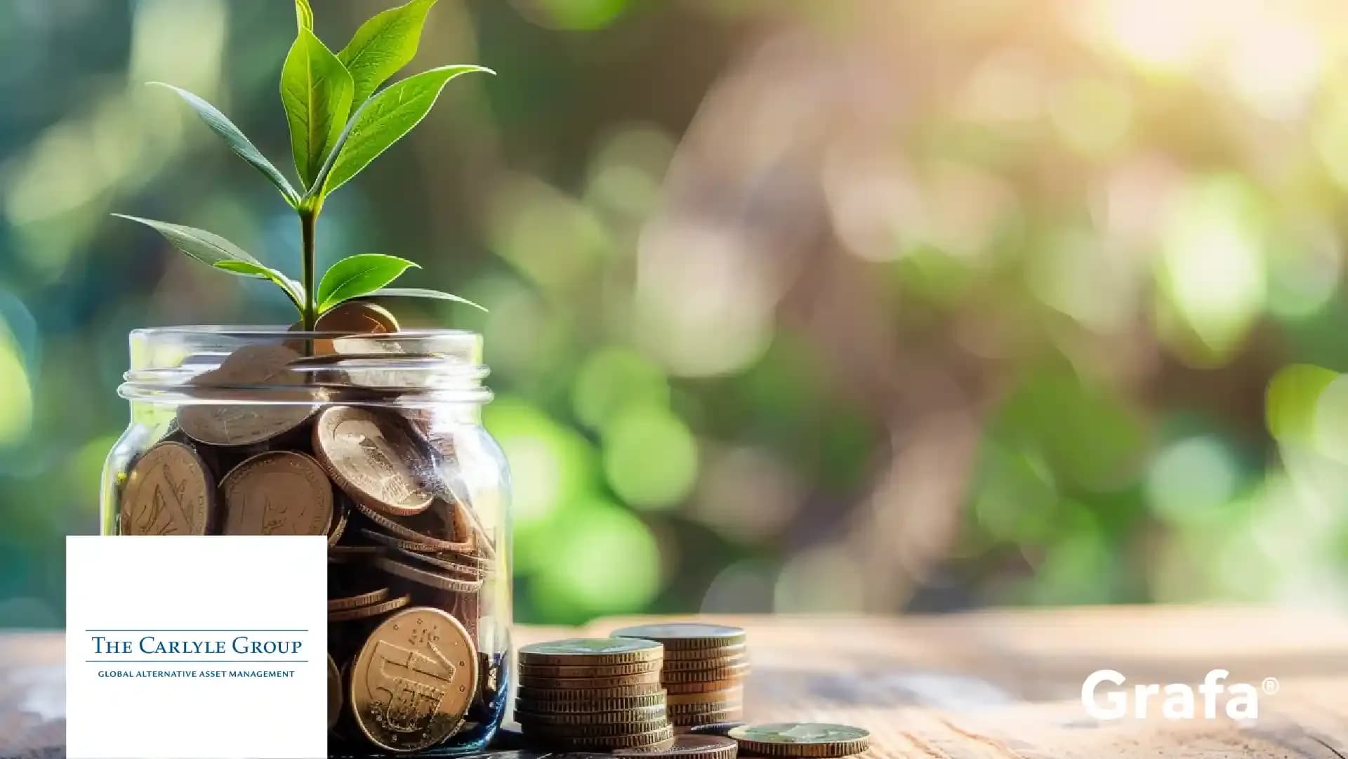 Carlyle Group primary media