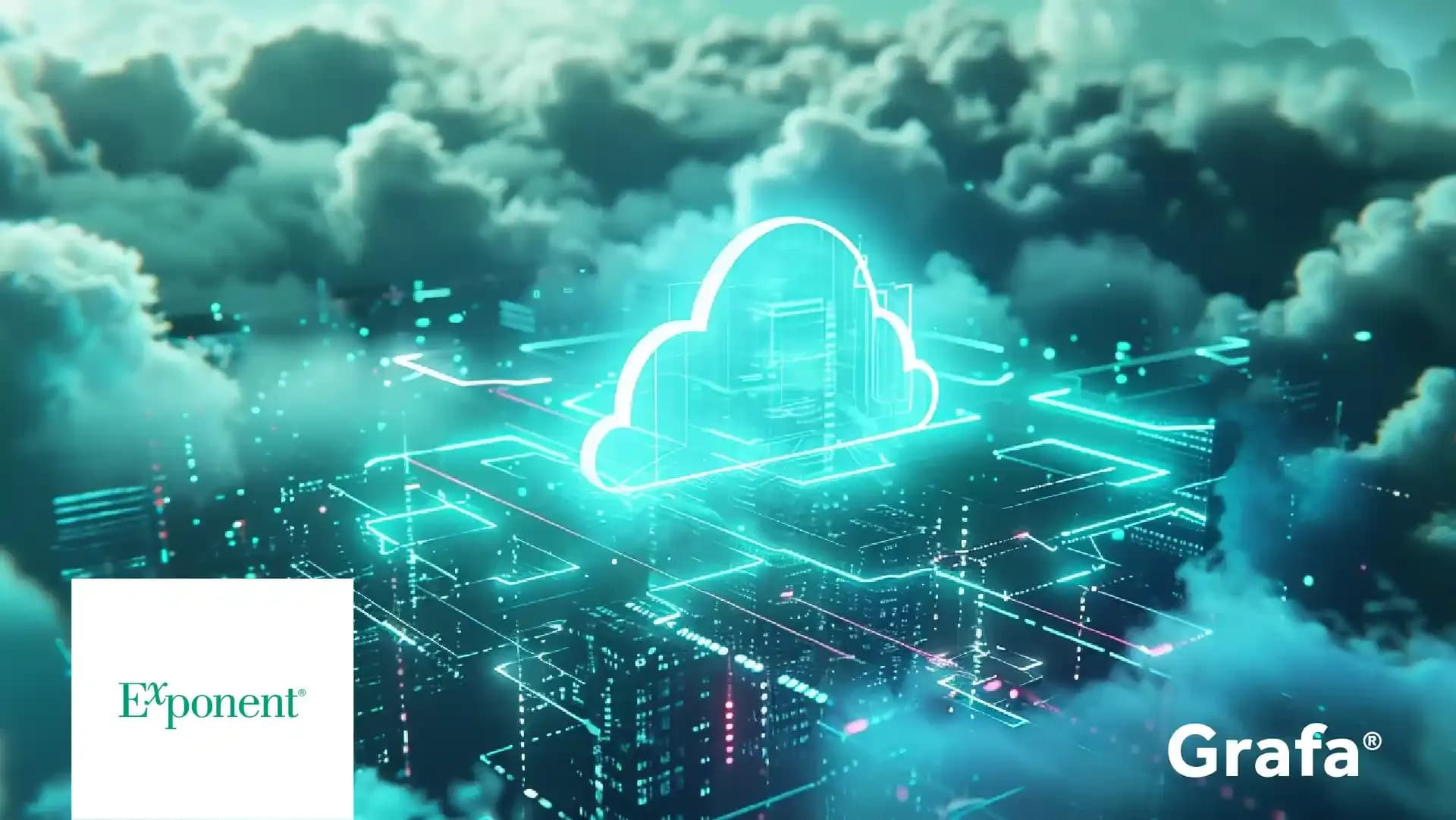 Exponent primary media