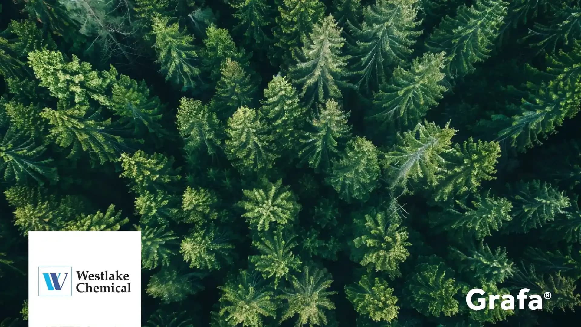 Weyerhaeuser Company primary media