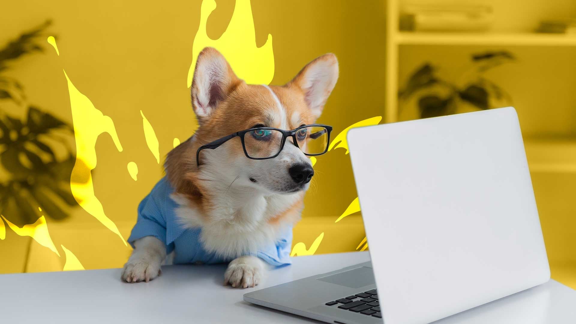 Perpetual navigates volatility as assets under management slip