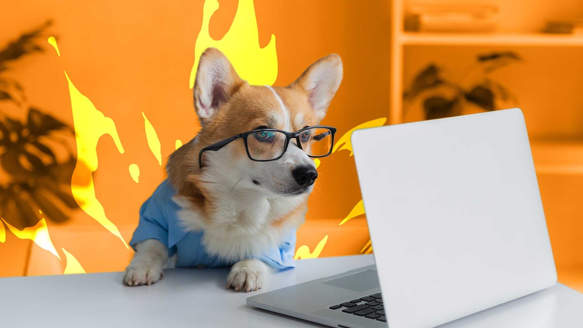 Kinatico books 42% SaaS revenue growth in H1 FY26