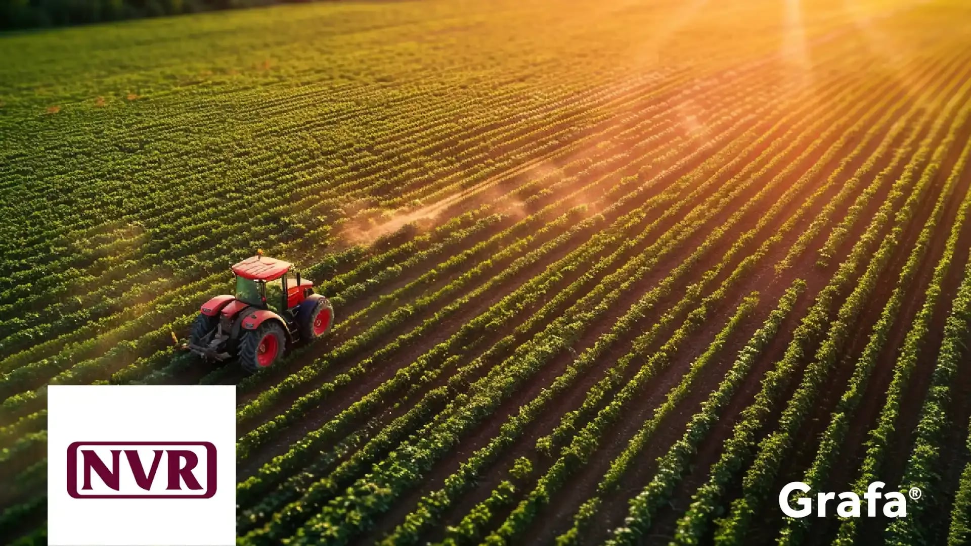 Nutrien primary media