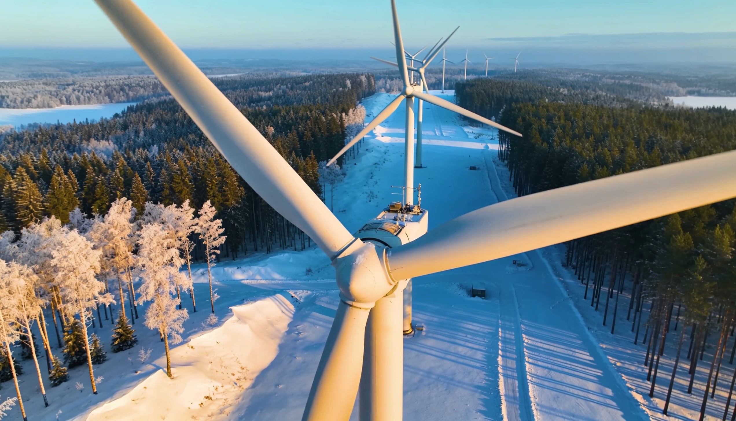 A utility-scale wind farm rising above a vast boreal forest of spruce.