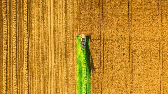 GrainCorp to sell Canadian JV GrainsConnect for CAD$150M