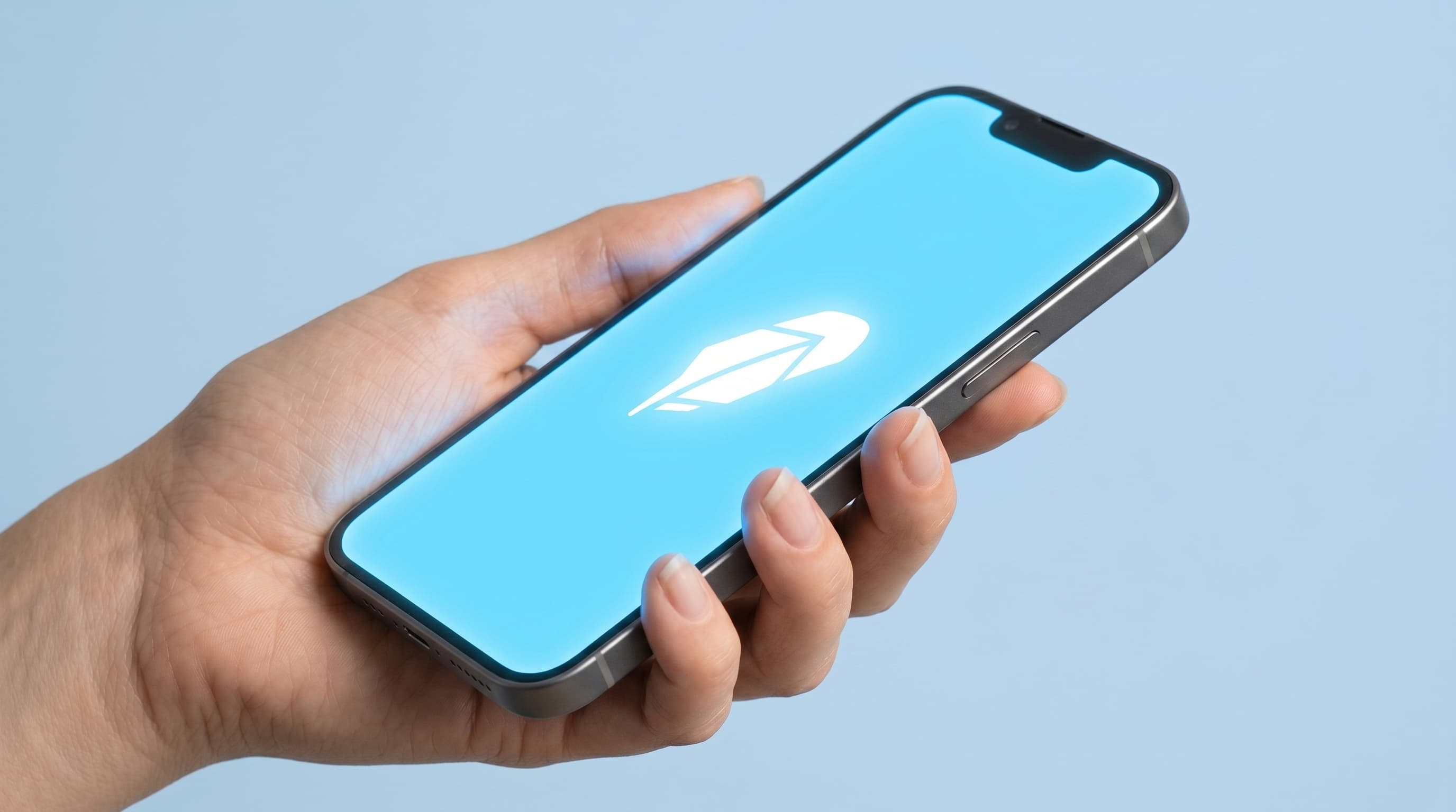 Robinhood slump seen as temporary by big investors